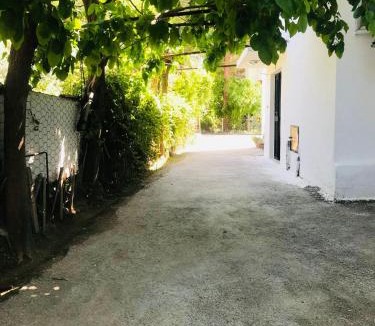 Pamukkale City Centre Apartment | White House