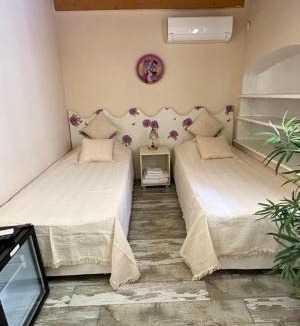 Ayvalik City Center House | Chez Nebahat Boutique