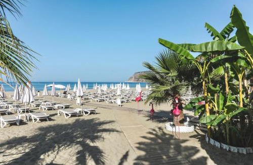 Alanya Hotel | Blue Wave Suite Hotel