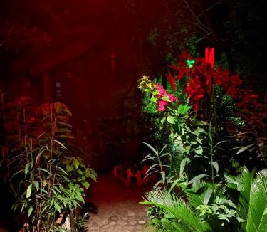 Cirali Cabin | Canario Bungalows