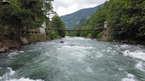 Ayder Hotel | MOLVA Bungalows Otel