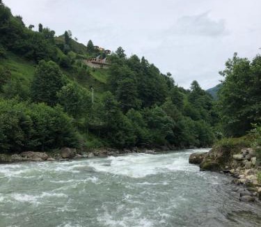 Ayder Resort | Afara Bungalows Otel & Cafe