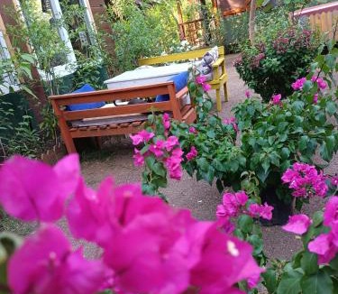 Cirali Cabin | Canario Bungalows