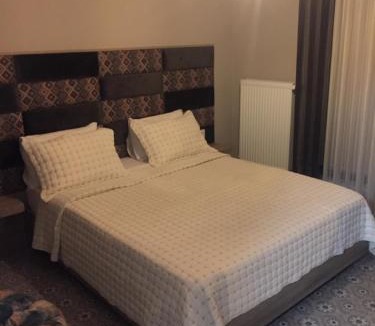 Edirne Hotel | ACR PALAS