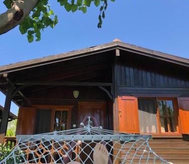 Cirali Resort | Ozge Bungalow Hotel