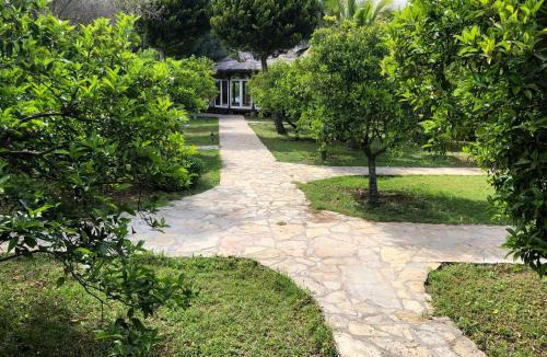 Cirali Resort | Cirali Armira Bungalow