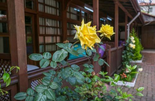 Amasra Hotel | çarşı pansiyon