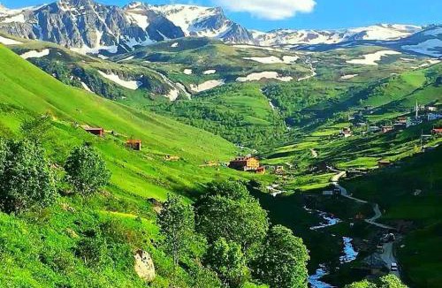 Caykara House | Uzungöl Ensar Dağ Evi