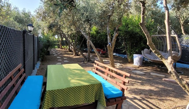 Would you like to reward yourself with a holiday in the comfort of your home? in Düger