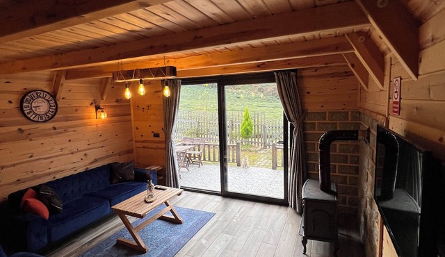 Rize Seversin Suit Bungalow