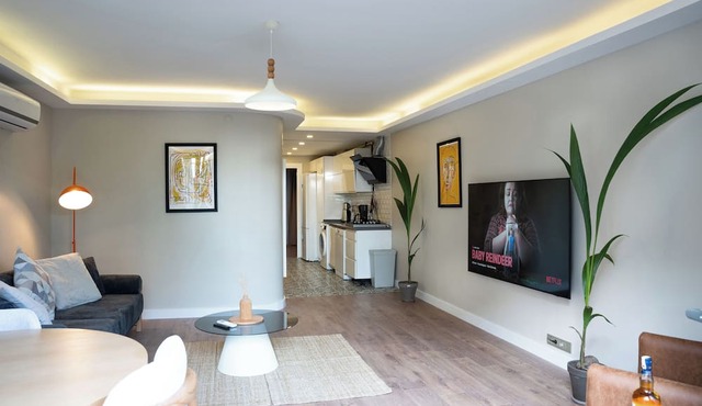 Charming 1-bedroom apartment in wonderful Istanbul with AC, WiFi in Istanbul