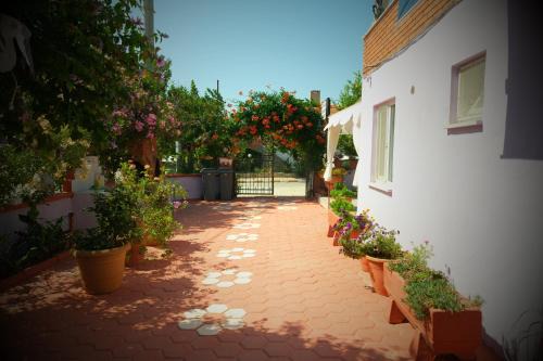 Morgül Pansiyon in Gokceada Town