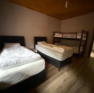 Tree Rose Suite