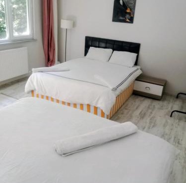 forest villa, 6 minutes from the airport in Taşoluk