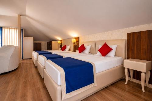 Kleopatra Micador Otel