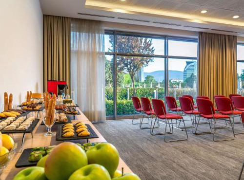 Ibis Bursa