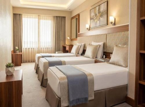 Hotel Buyuk Paris