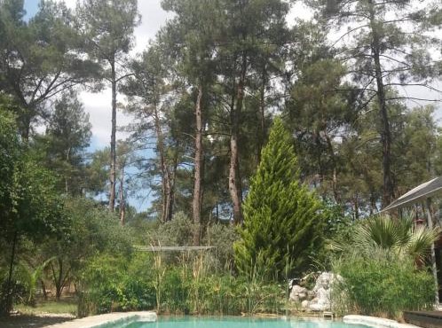 Yeşilyurt 5 rooms in Kumluca