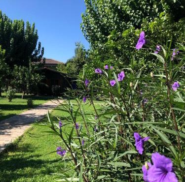 Ozge Bungalow Hotel in Kemer